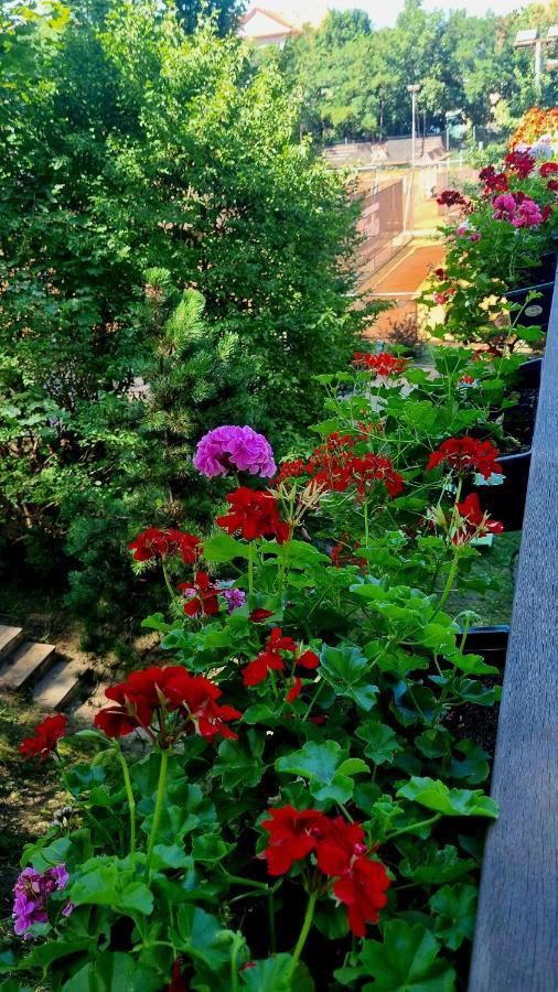 Hostel Cibulka ปราก ภายนอก รูปภาพ